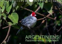 Argentiniens faszinierende Vogelwelt (Wandkalender 2019 DIN A4 quer)