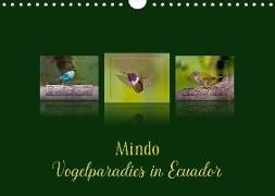Mindo, Vogelparadies in Ecuador (Wandkalender 2019 DIN A4 quer)
