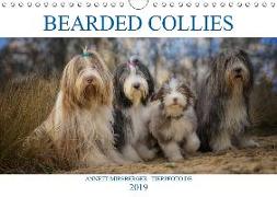 BEARDED COLLIES 2019 (Wandkalender 2019 DIN A4 quer)