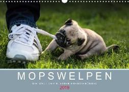 Mopswelpen (Wandkalender 2019 DIN A3 quer)