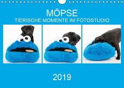 MÖPSE - tierische Momente im Fotostudio (Wandkalender 2019 DIN A4 quer)