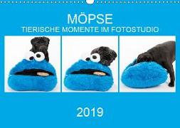 MÖPSE - tierische Momente im Fotostudio (Wandkalender 2019 DIN A3 quer)