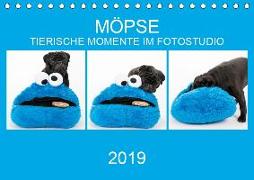 MÖPSE - tierische Momente im Fotostudio (Tischkalender 2019 DIN A5 quer)