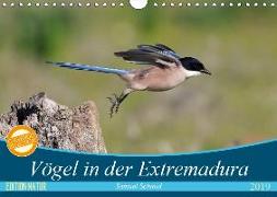 Vögel in der Extremadura (Wandkalender 2019 DIN A4 quer)