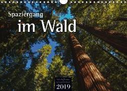 Spaziergang im Wald (Wandkalender 2019 DIN A4 quer)