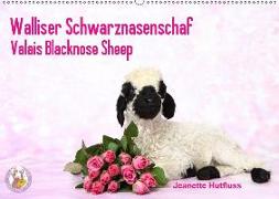 Walliser Schwarznasenschaf Valais Blacknose Sheep (Wandkalender 2019 DIN A2 quer)