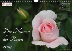 Die Namen der Rosen (Wandkalender 2019 DIN A4 quer)