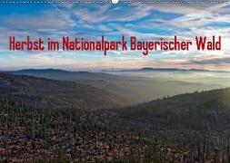 Herbst im Nationalpark Bayerischer Wald (Wandkalender 2019 DIN A2 quer)