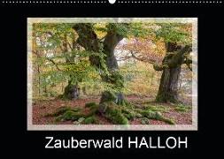 Zauberwald HALLOH (Wandkalender 2019 DIN A2 quer)