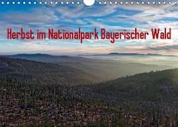 Herbst im Nationalpark Bayerischer Wald (Wandkalender 2019 DIN A4 quer)