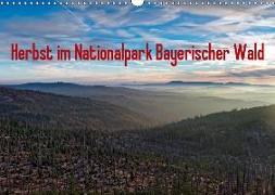 Herbst im Nationalpark Bayerischer Wald (Wandkalender 2019 DIN A3 quer)