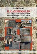 Il Campidoglio Dalle Origini Alla Fine Dell'antichita: La Carta Archeologica 1e 2. I Temi Di Ricerca