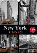 New York Colorkey (Wandkalender 2019 DIN A4 hoch)