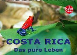 Costa Rica - das pure Leben (Wandkalender 2019 DIN A2 quer)