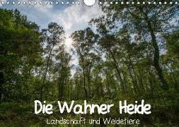 Die Wahner Heide - Landschaft und Weidetiere (Wandkalender 2019 DIN A4 quer)