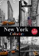 New York Colorkey (Wandkalender 2019 DIN A2 hoch)