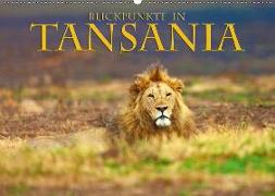 Blickpunkte Tansanias (Wandkalender 2019 DIN A2 quer)
