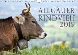 Allgäuer Rindvieh 2019 (Wandkalender 2019 DIN A4 quer)