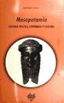 Mesopotamia : historia política, económica y cultural