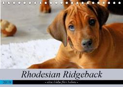 Rhodesian Ridgeback - eine Liebe fürs Leben (Tischkalender 2019 DIN A5 quer)