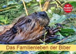 Das Familienleben der Biber (Wandkalender 2019 DIN A3 quer)