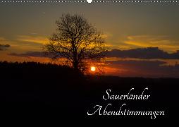 Sauerländer Abendstimmungen (Wandkalender 2019 DIN A2 quer)