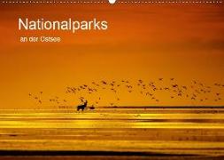 Nationalparks an der Ostsee (Wandkalender 2019 DIN A2 quer)