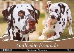 Gefleckte Freunde - Hunderasse Dalmatiner (Wandkalender 2019 DIN A2 quer)