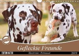 Gefleckte Freunde - Hunderasse Dalmatiner (Wandkalender 2019 DIN A4 quer)