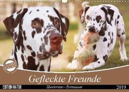 Gefleckte Freunde - Hunderasse Dalmatiner (Wandkalender 2019 DIN A3 quer)