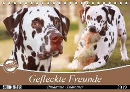 Gefleckte Freunde - Hunderasse Dalmatiner (Tischkalender 2019 DIN A5 quer)