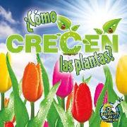 ¿Cómo Crecen Las Plantas?