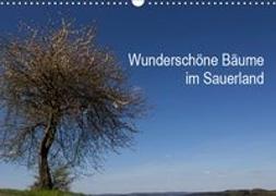 Wunderschöne Bäume im Sauerland (Wandkalender 2019 DIN A3 quer)