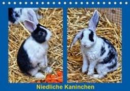 Niedliche Kaninchen (Tischkalender 2019 DIN A5 quer)