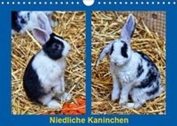 Niedliche Kaninchen (Wandkalender 2019 DIN A4 quer)