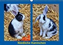 Niedliche Kaninchen (Wandkalender 2019 DIN A3 quer)