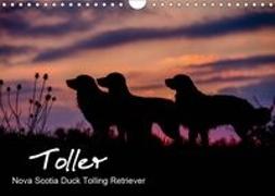Toller - Nova Scotia Duck Tolling Retriever (Wandkalender 2019 DIN A4 quer)