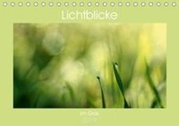 Lichtblicke im Gras (Tischkalender 2019 DIN A5 quer)