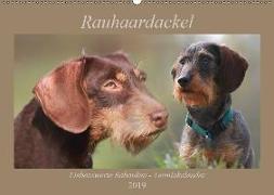 Rauhaardackel - Liebenswerte Rabauken Terminkalender (Wandkalender 2019 DIN A2 quer)