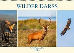 Wilder Darß - Fuchs, Hirsch und Co. 2019 (Wandkalender 2019 DIN A2 quer)