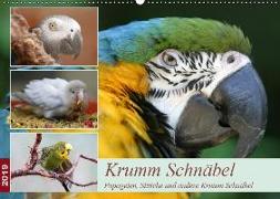 Krumm Schnäbel - Papageien, Sittiche und andere Krumm Schnäbel (Wandkalender 2019 DIN A2 quer)
