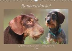 Rauhaardackel - Liebenswerte Rabauken Terminkalender (Wandkalender 2019 DIN A3 quer)