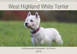 West Highland White Terrier - Selbstbewustes Powerpaket - der Westie (Wandkalender 2019 DIN A3 quer)