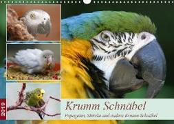 Krumm Schnäbel - Papageien, Sittiche und andere Krumm Schnäbel (Wandkalender 2019 DIN A3 quer)
