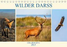 Wilder Darß - Fuchs, Hirsch und Co. 2019 (Tischkalender 2019 DIN A5 quer)