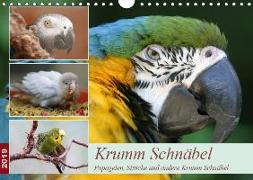 Krumm Schnäbel - Papageien, Sittiche und andere Krumm Schnäbel (Wandkalender 2019 DIN A4 quer)