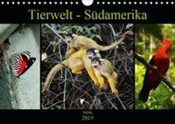 Tierwelt - Südamerika (Wandkalender 2019 DIN A4 quer)