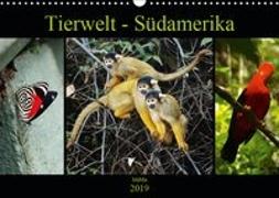 Tierwelt - Südamerika (Wandkalender 2019 DIN A3 quer)