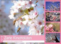 Zarte Kirschblüten - Berauschende Gedankendüfte (Wandkalender 2019 DIN A2 quer)