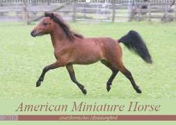 American Miniature Horse (Wandkalender 2019 DIN A2 quer)